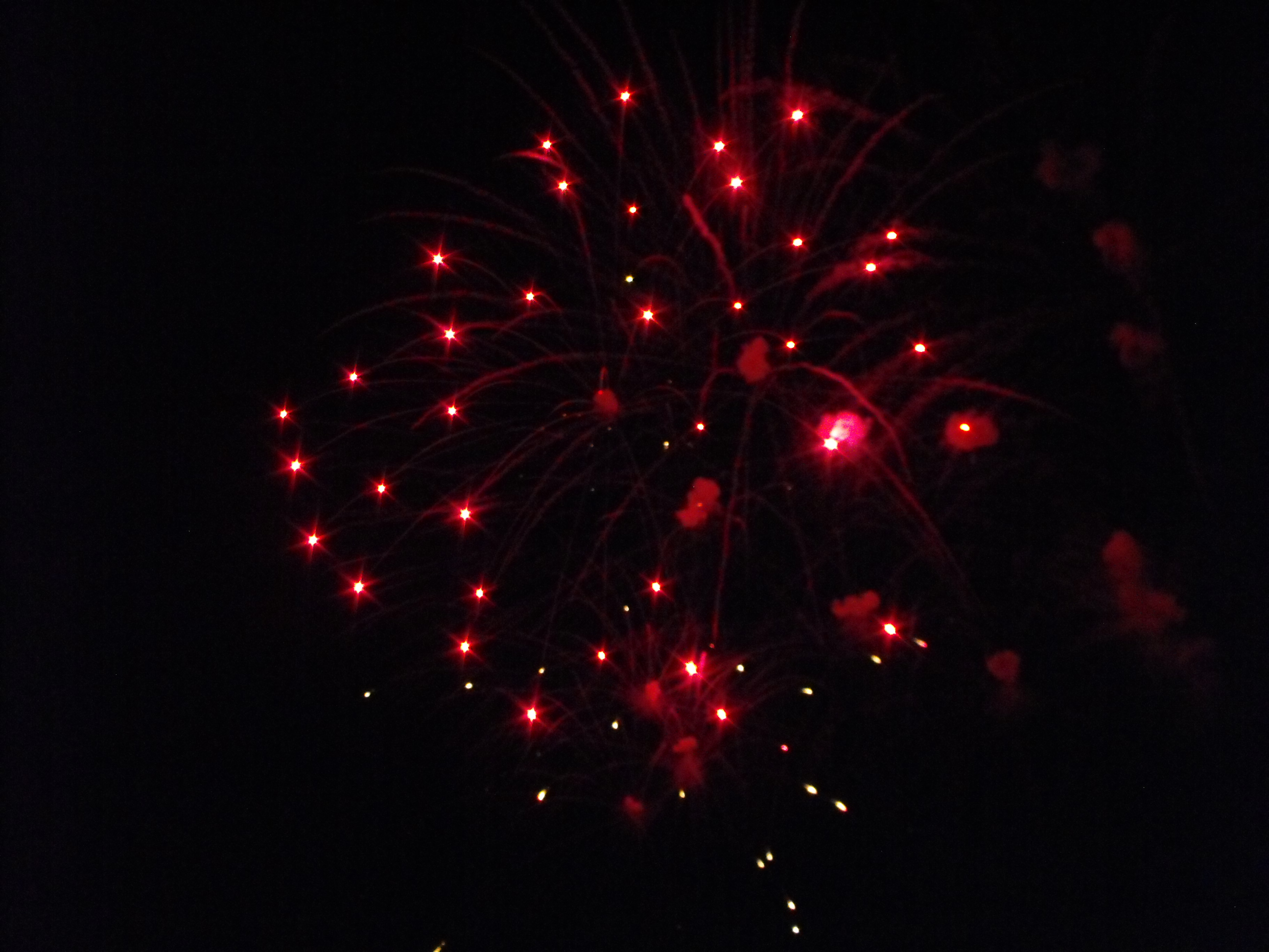 ./2010/Fourth of July/4th July Fireworks Wilm 0030.JPG